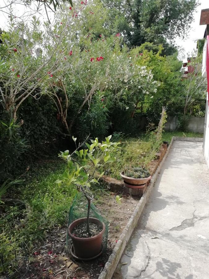 Casa Vacanze Mare ลิโด ดิ สคากคิ ภายนอก รูปภาพ